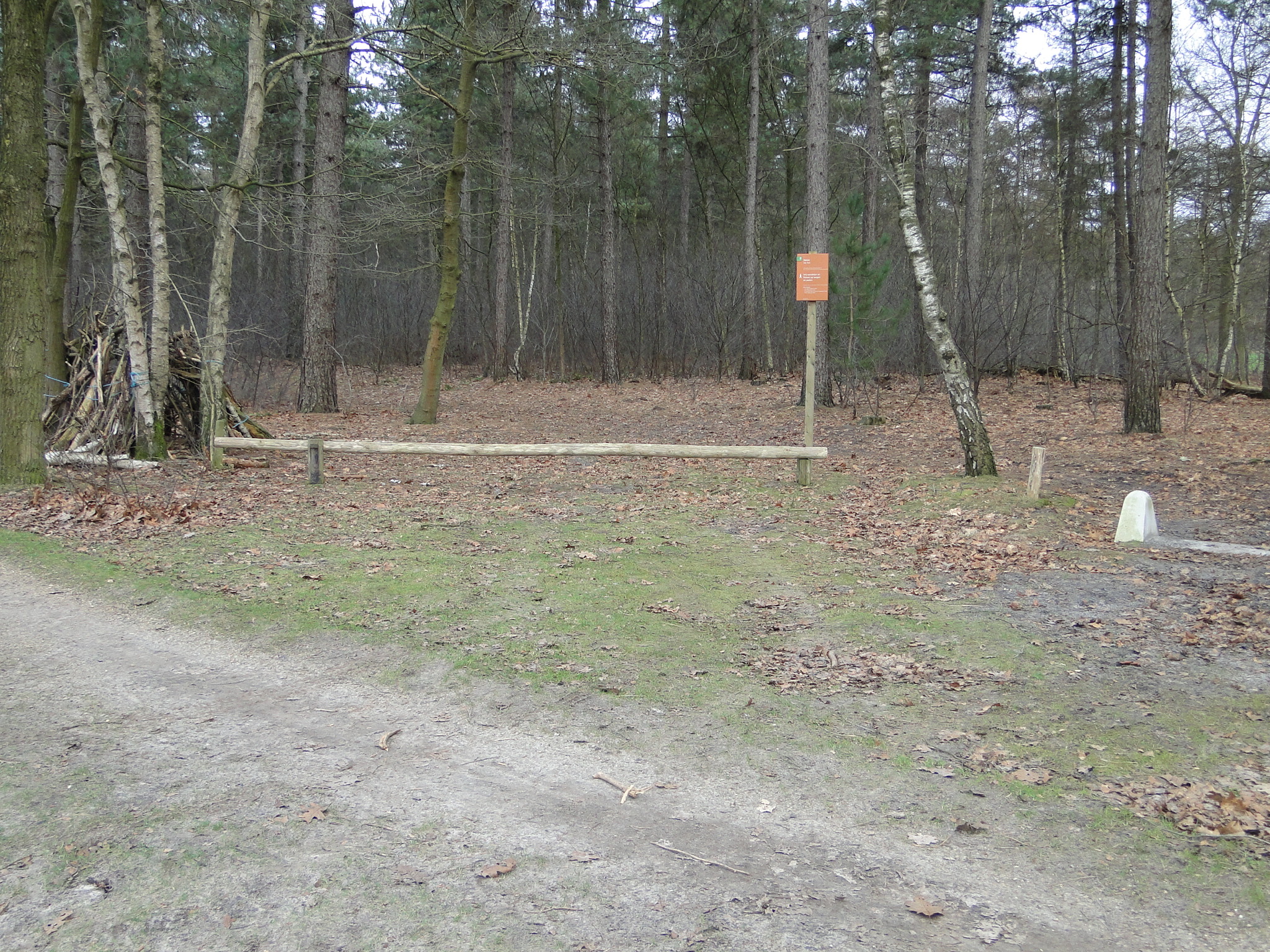 NWK 2012 039.jpg